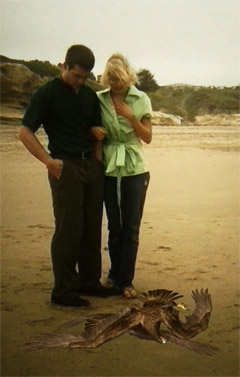 Catch the latest 'Best Worst' movie, <b>Birdemic</b>, swooping into the UK soon
