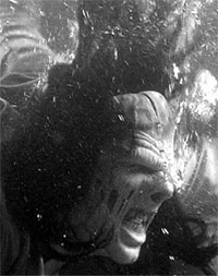 <b>Frankenstein Vs The Creature From Blood Cove</b> DVD